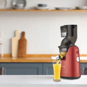 KUVINGS B1700 JUICER (3)